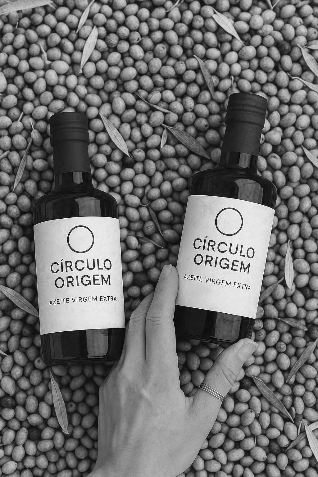 Landschaft mit Olivenhain und Steinmauern